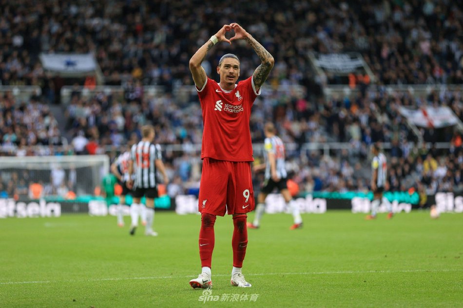 国内外游客 国内外游客